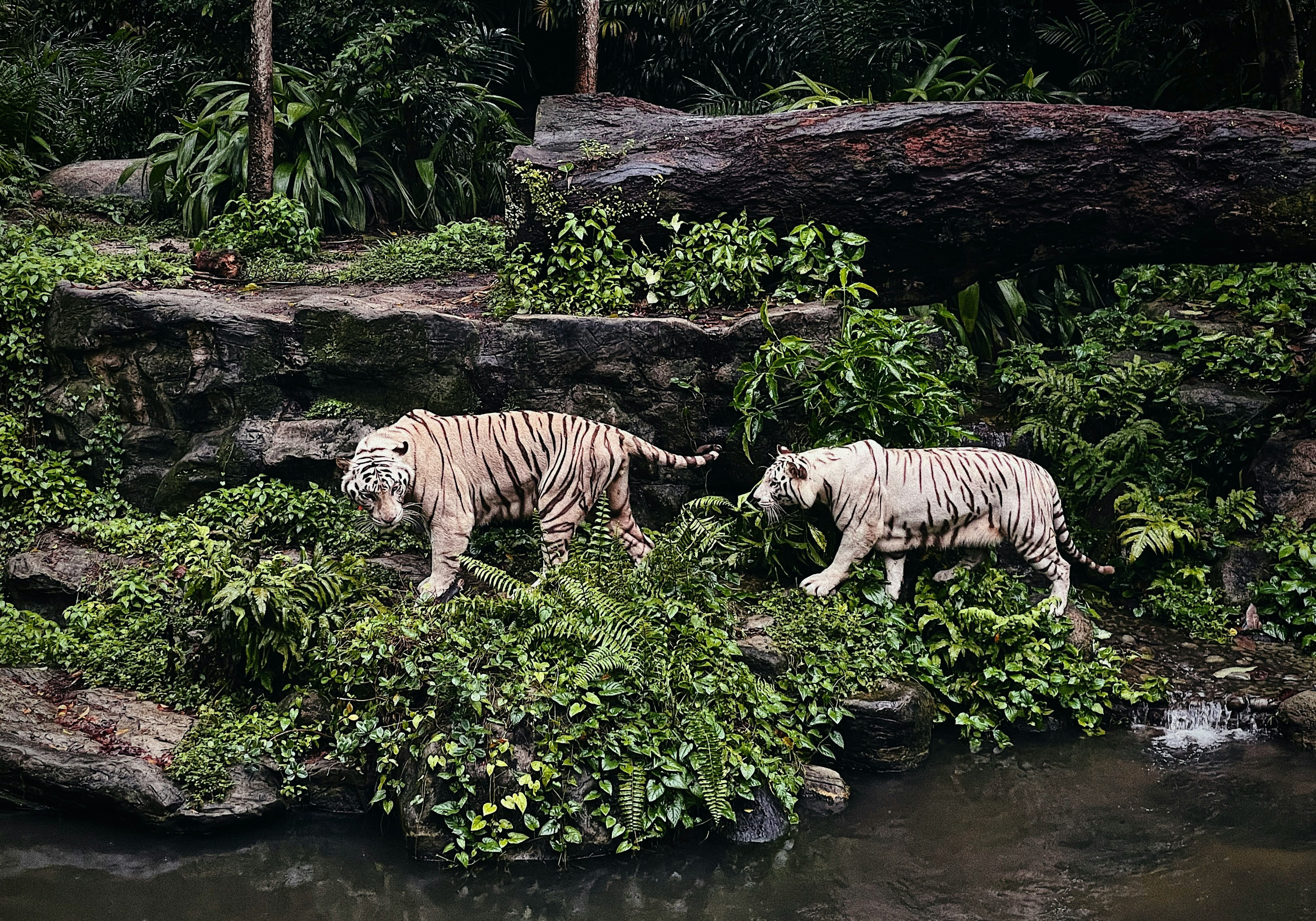 4 Nights Singapore Holiday Package