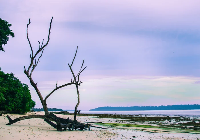 5N Romantic Getaway Andaman (Honeymoon Special)