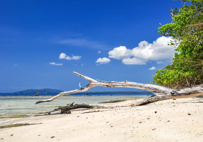 5 Nights Romantic Getaway Andaman (Honeymoon Special)