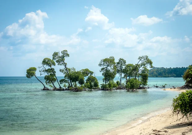 5N Romantic Getaway Andaman (Honeymoon Special)