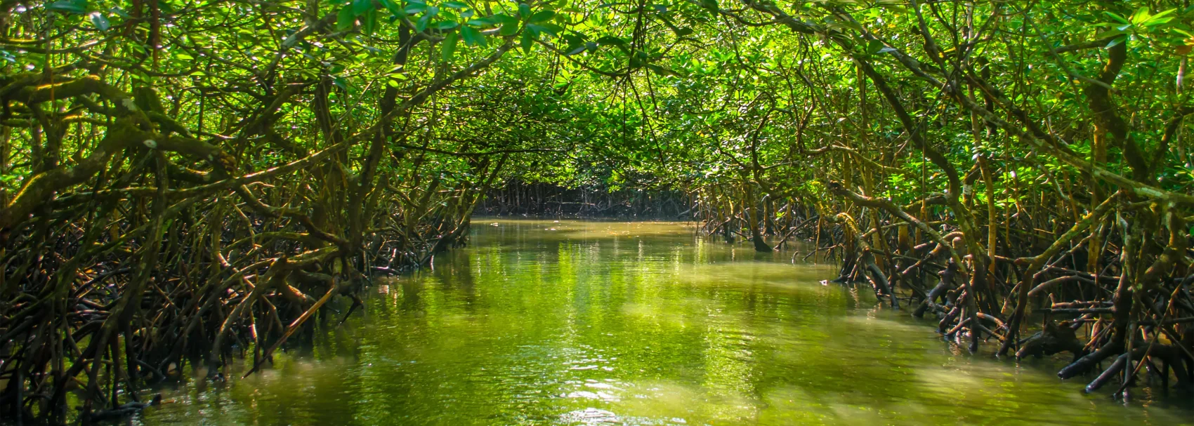 Arrive Port Blair (Corbyn’s Cove Beach + Sound & Light Show at Cellular Jail)