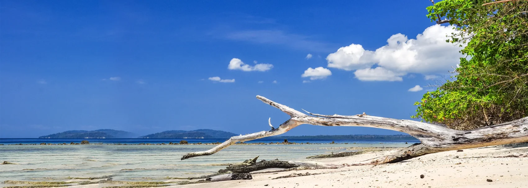 Havelock Island (Elephant Beach)