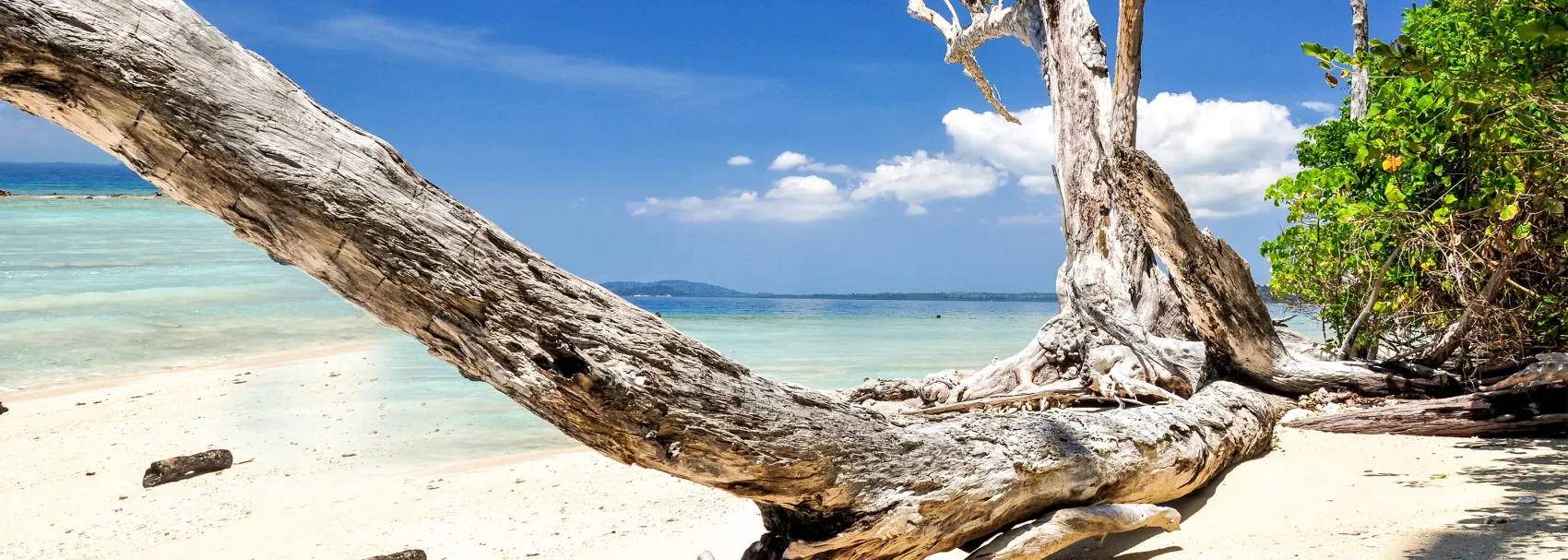 Havelock Island (Elephant Beach)