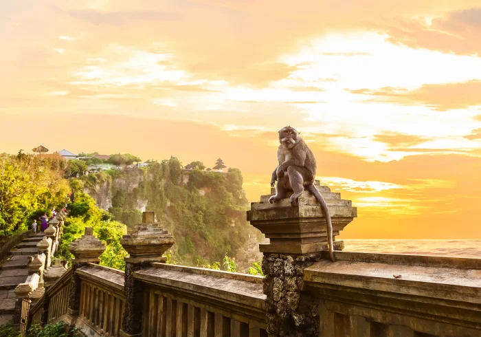 5 Nights Bali Retreat