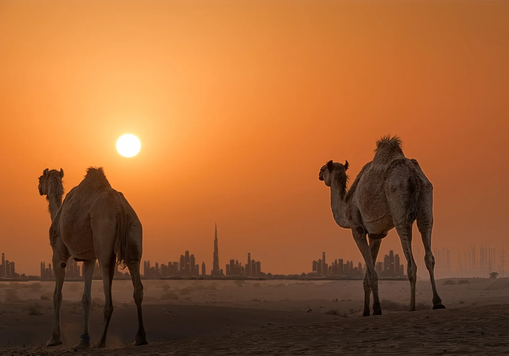 4 Nights Dubai Desert Safari