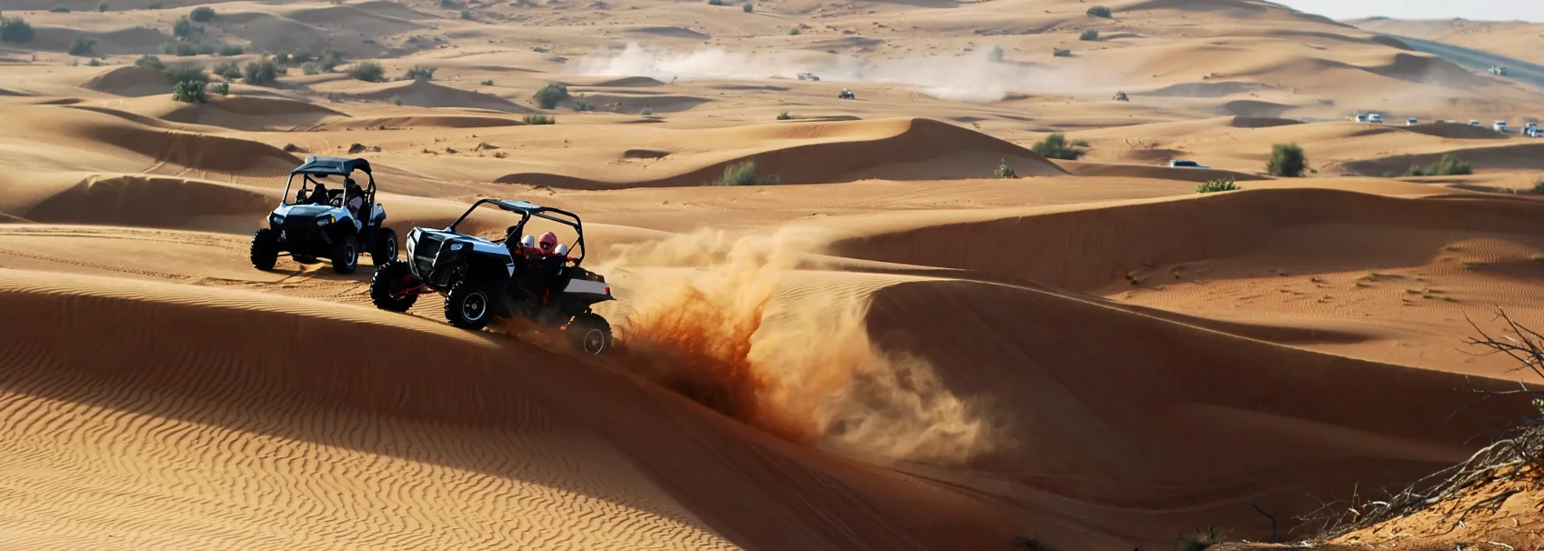 Dubai Frame || Desert Safari with BBQ Dinner