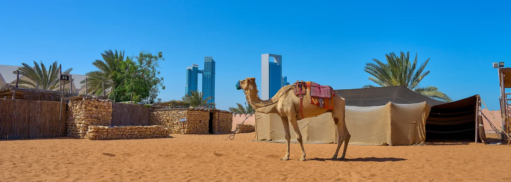 Day 4 - Abu Dhabi City Tour