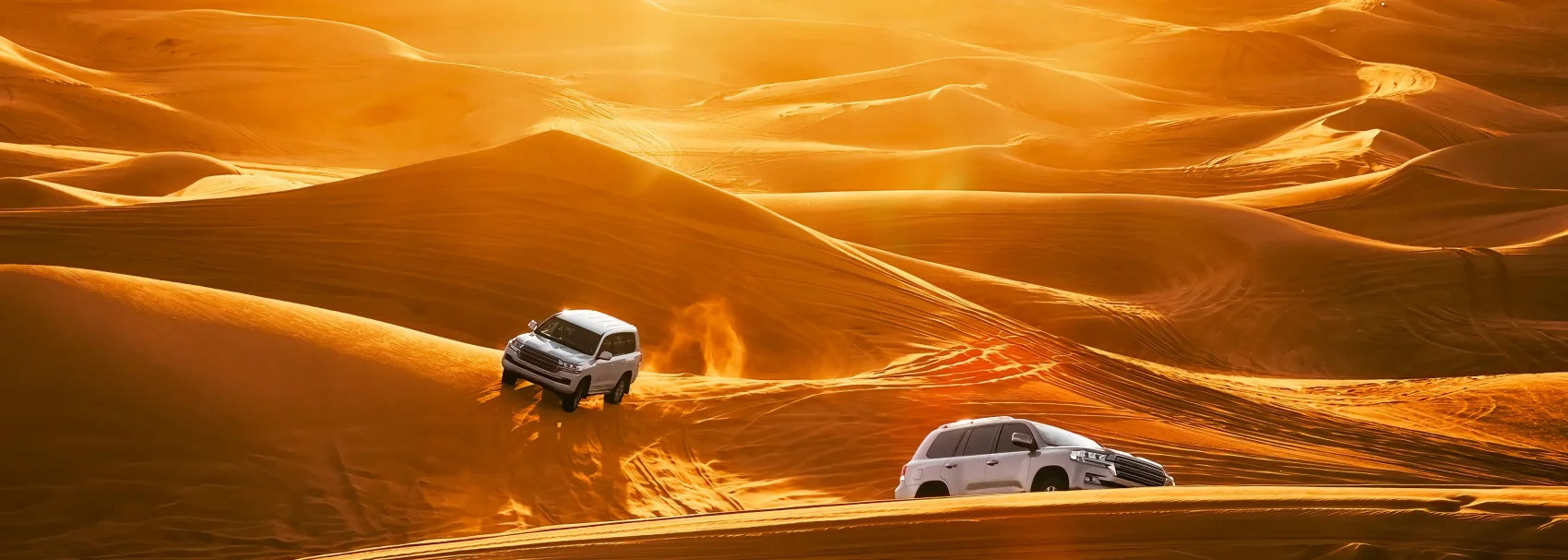 Dubai Frame || Desert Safari with BBQ Dinner