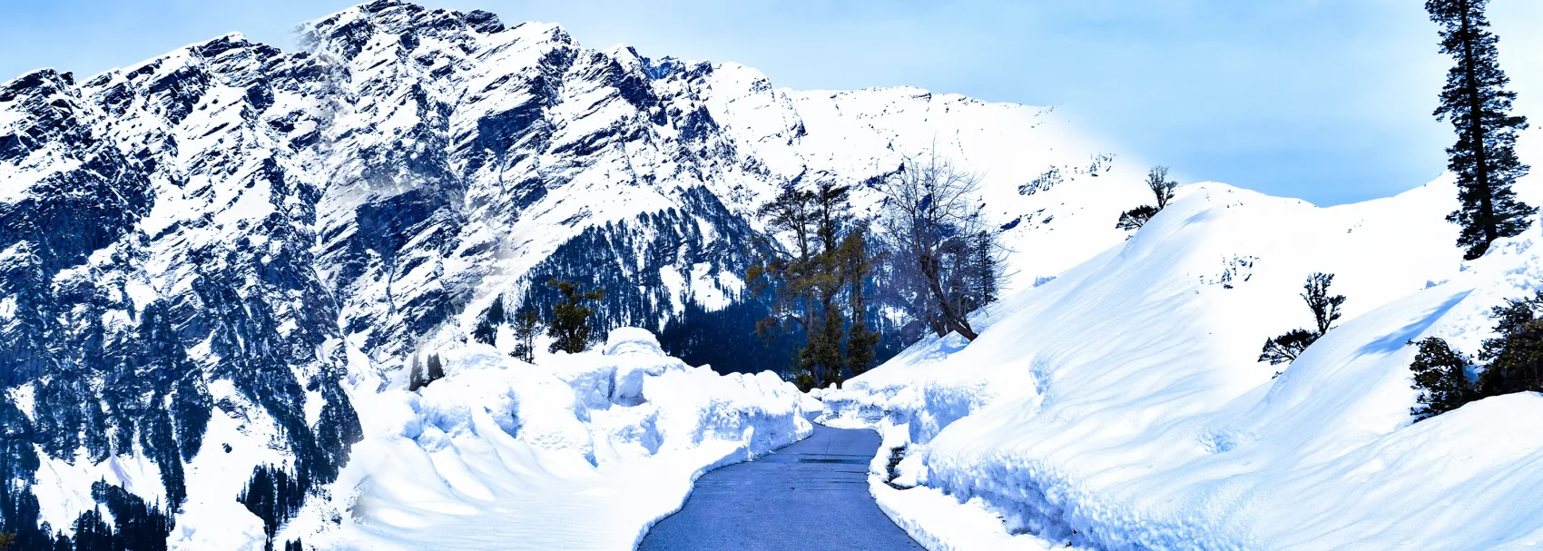 Transfer from Shimla to Manali