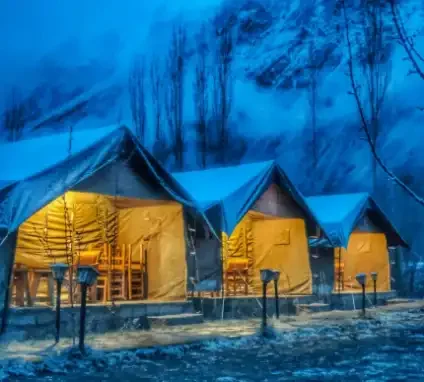 Nubra Camps