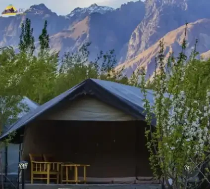 Nubra Camps