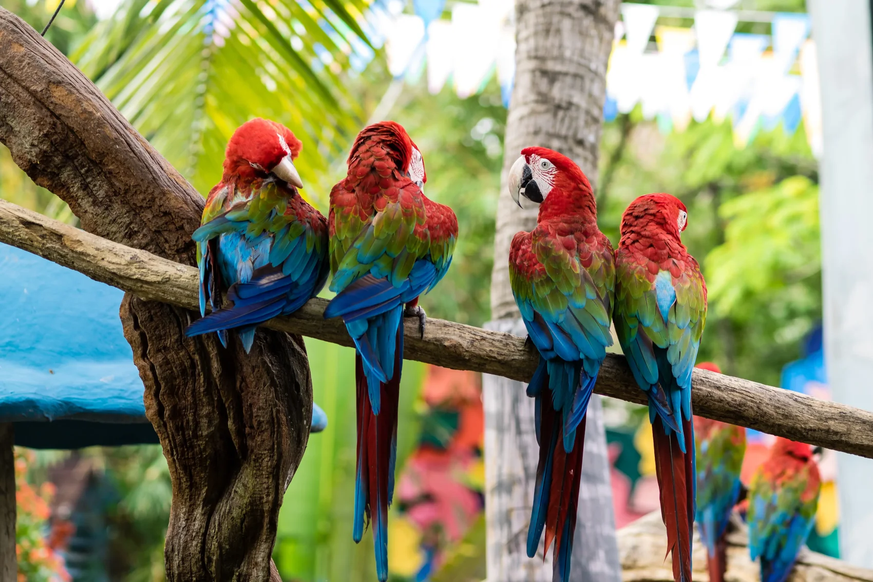 Safari World & Marine Park
