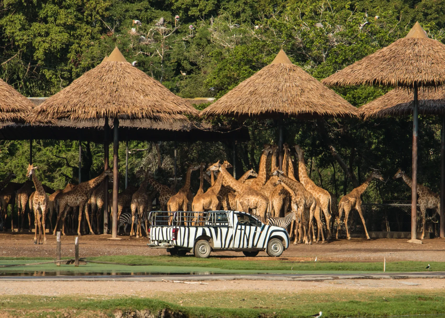 Safari World & Marine Park